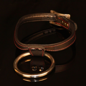 Standard leather collar